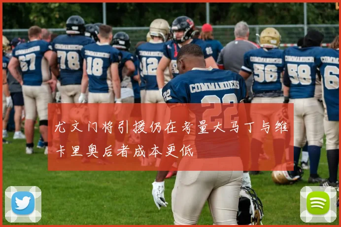 尤文门将引援仍在考量大马丁与维卡里奥后者成本更低