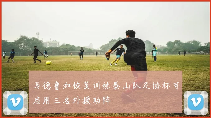 马德鲁加恢复训练泰山队足协杯可启用三名外援助阵